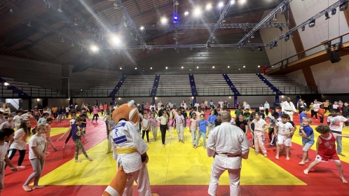 Judo scolaire : les organismes délégataires mobilisés en cette fin de saison scolaire et sportive