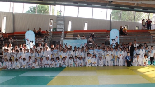 Challenge Judo Disney Tous en Forme : Comité de Dordogne