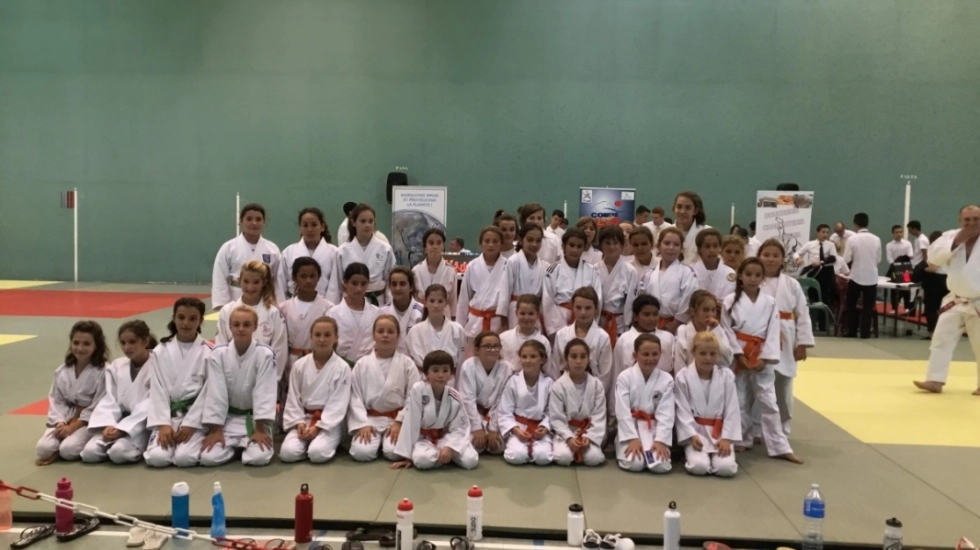 Challenge Départemental Judo Disney Tous en Forme : Comité des Pyrénées Atlantiques