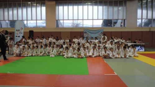 Challenge Départemental Judo Disney Tous en Forme : Comité de la Vienne